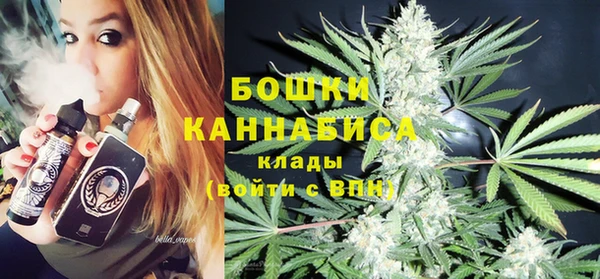 ПСИЛОЦИБИНОВЫЕ ГРИБЫ Алексеевка