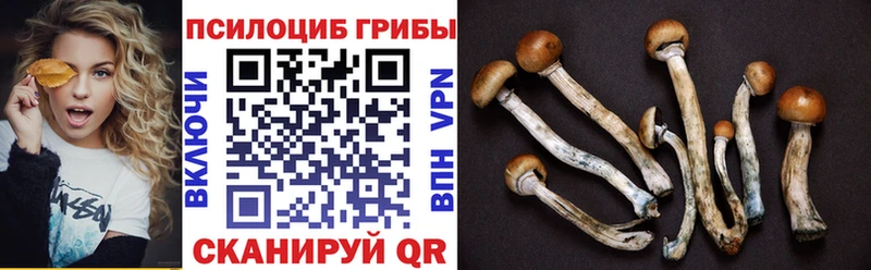 Псилоцибиновые грибы ЛСД закладки Коряжма